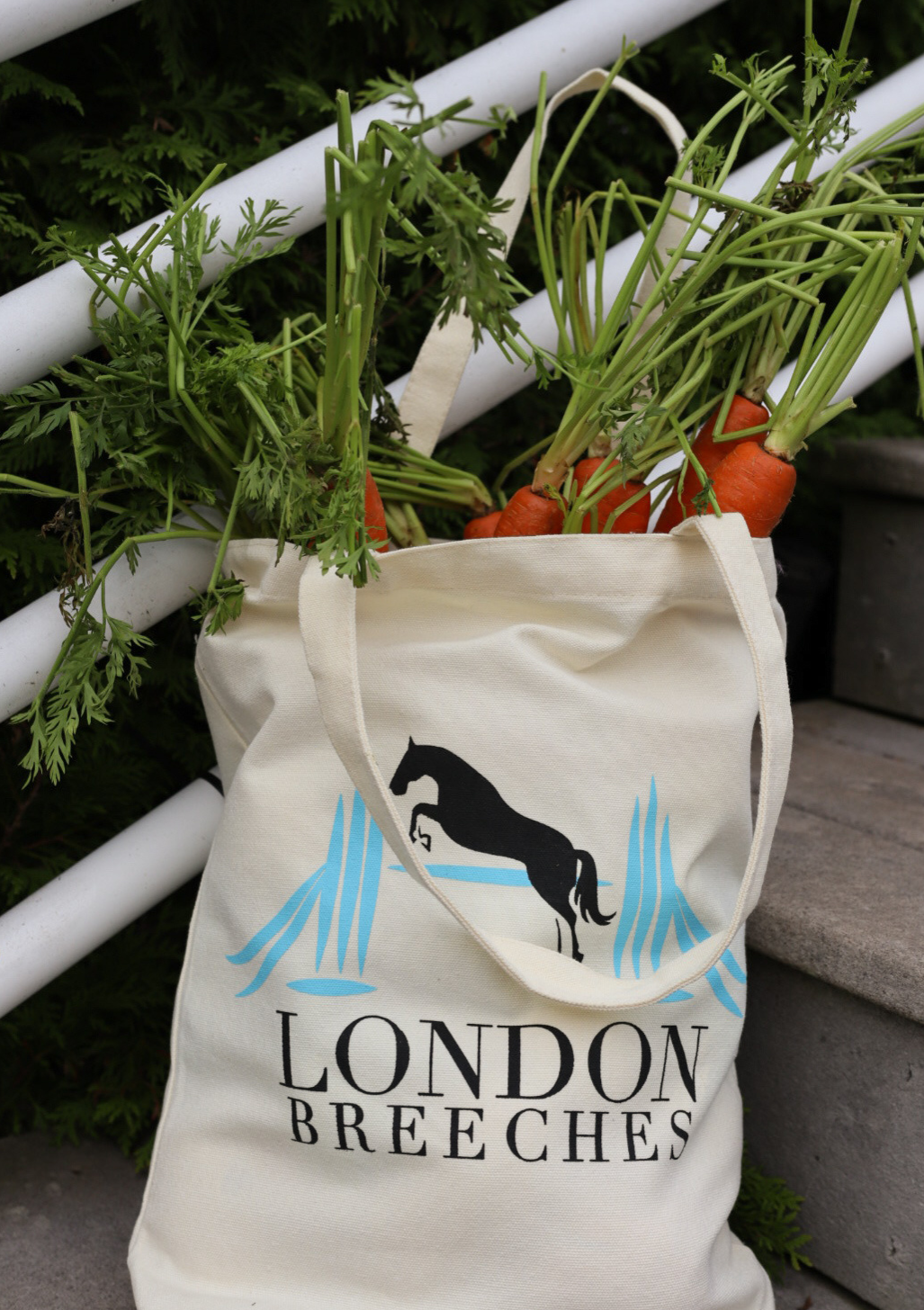 Canvas Tote Bag